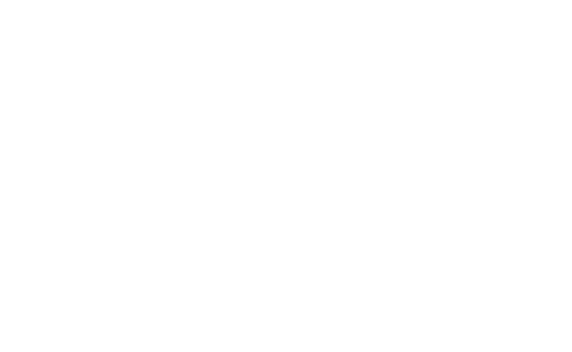 logo_hsn