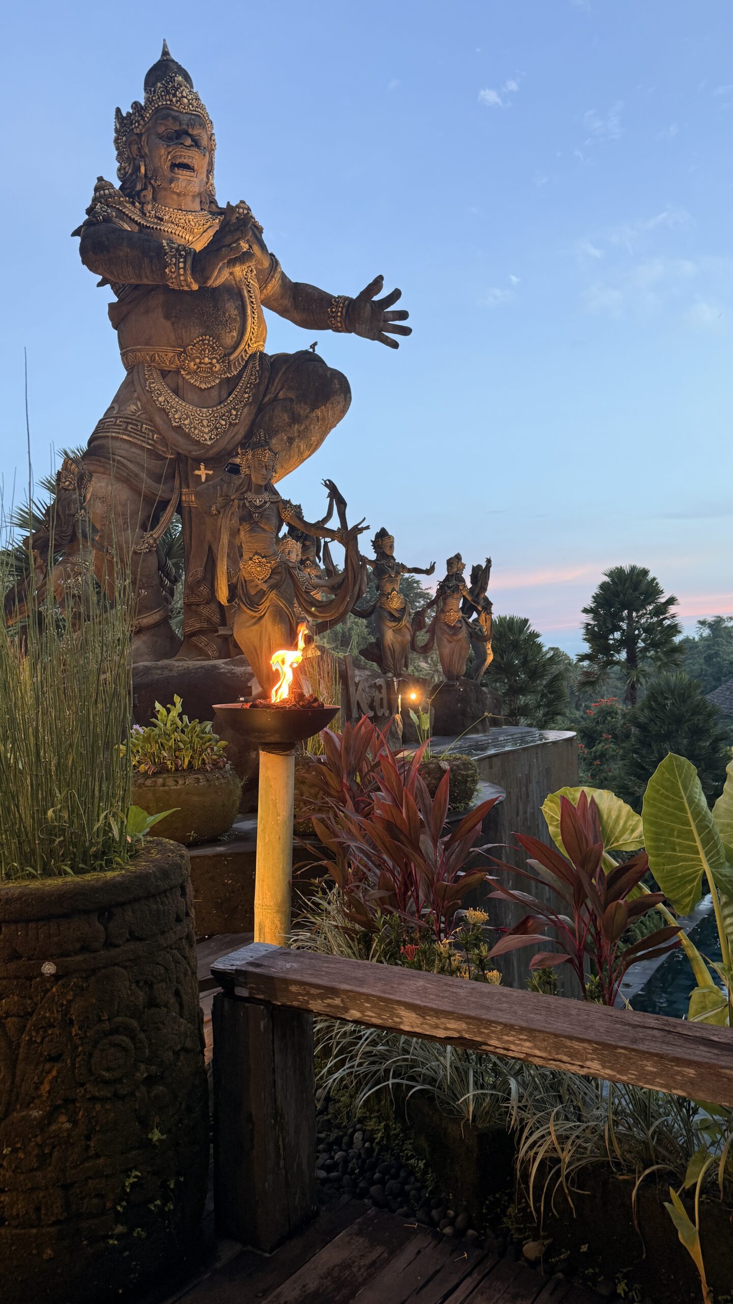 Retiro con Paloma en Bali 2