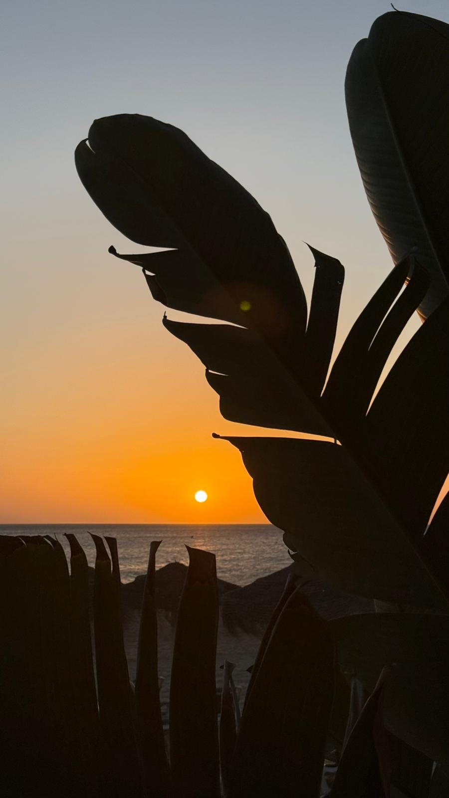 Retiro con Paloma en Cádiz